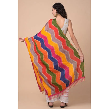Women's Chanderi Printed Shawl (Multicolor, Length: 2.25 to 2.50 Mtr)